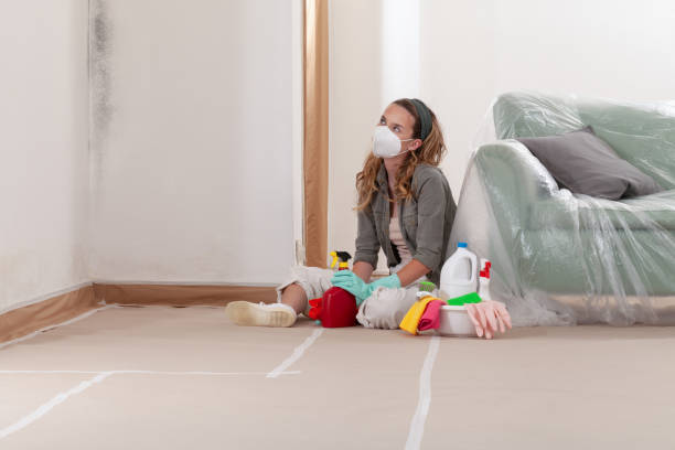 Reliable Mold Removal contractor in Wade, NC by WQB Mold Removal